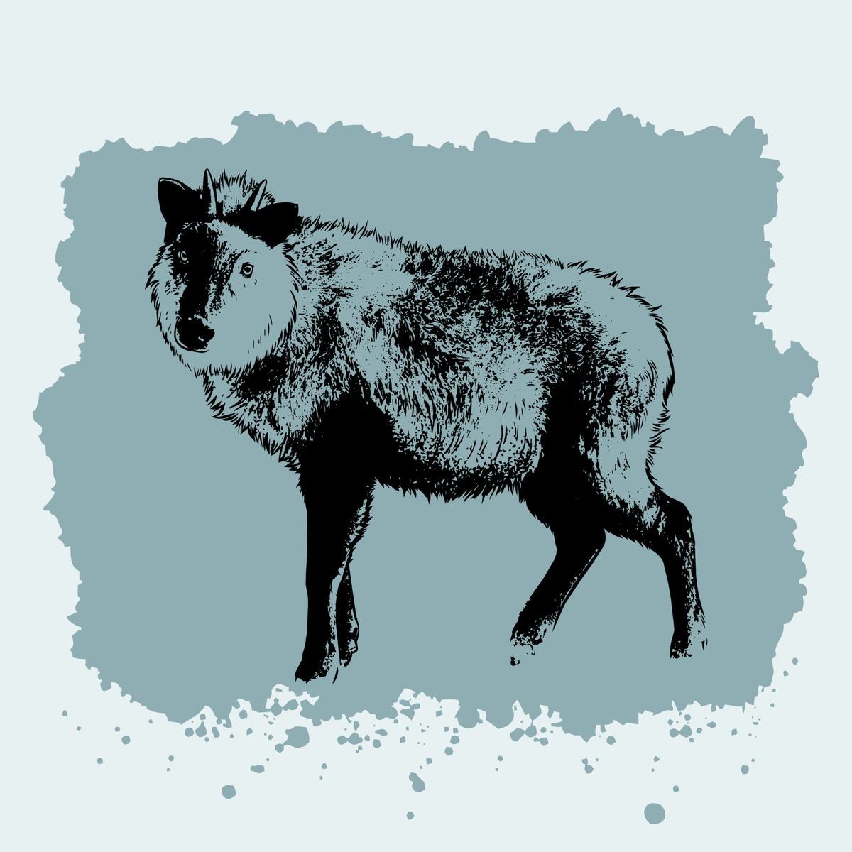 Japanese Serow