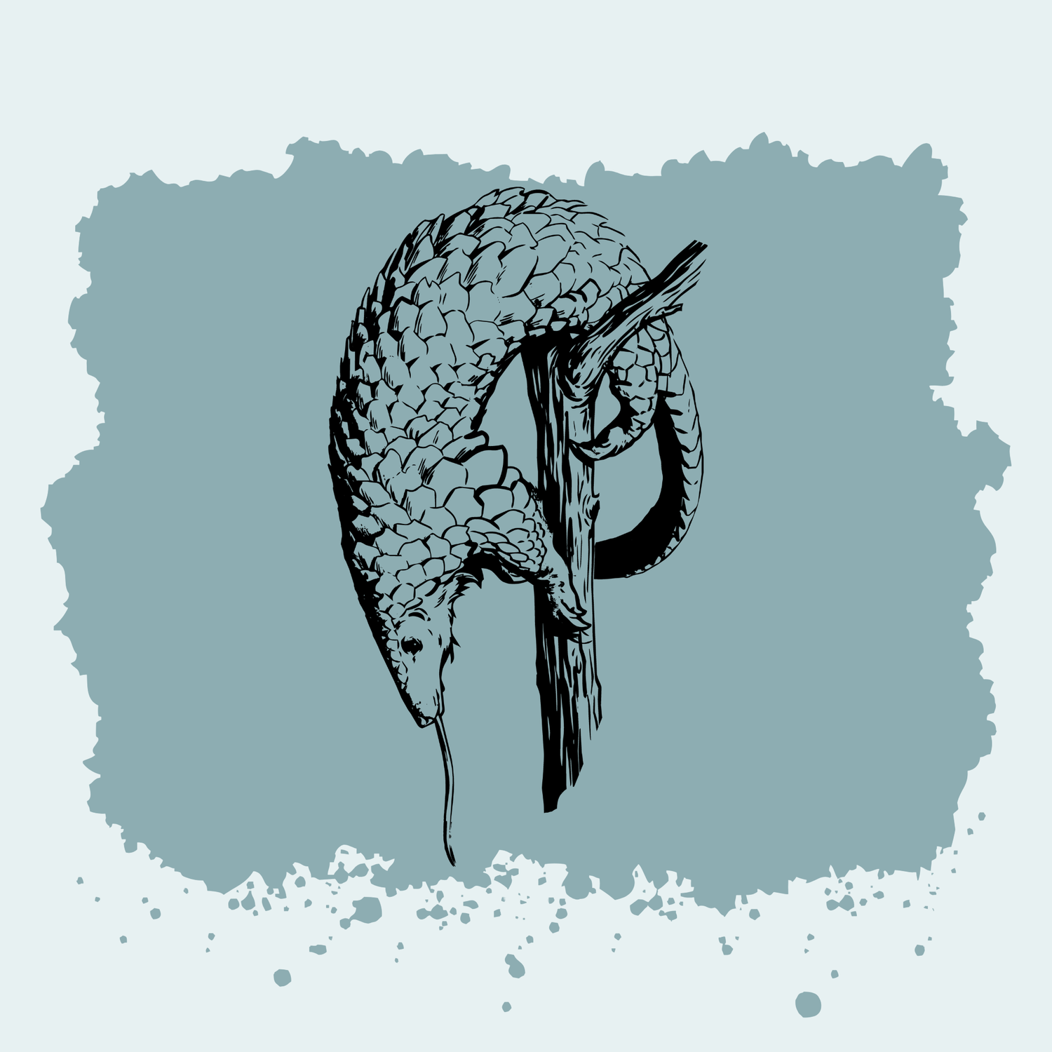 Pangolin