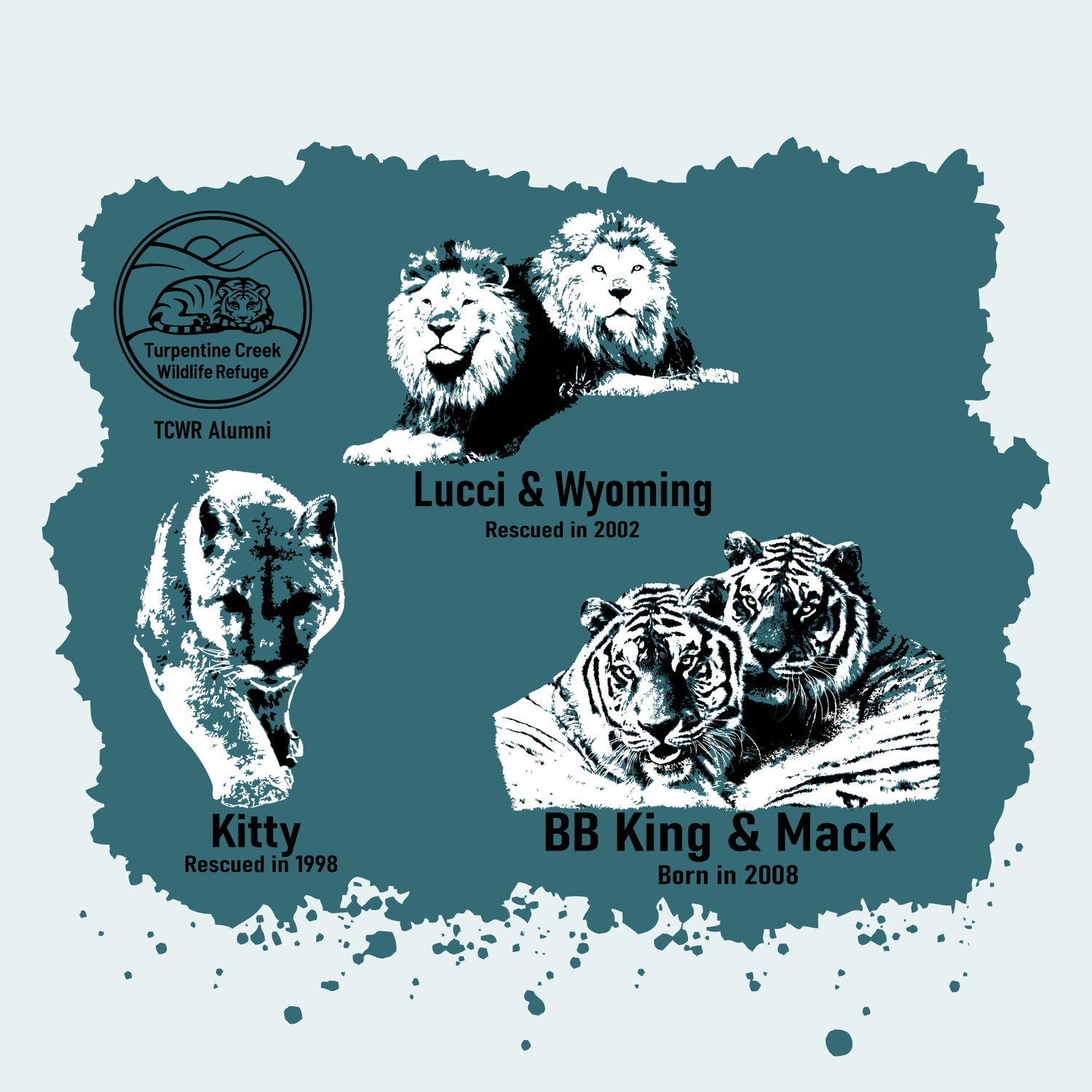 TCWR Alumni (Fundraiser)