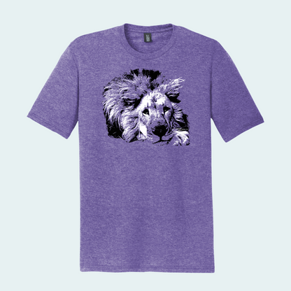 Lion - Unisex Tee