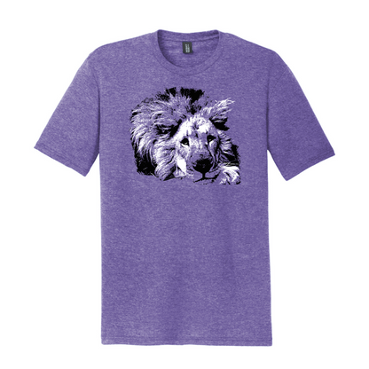 Lion - Unisex Tee