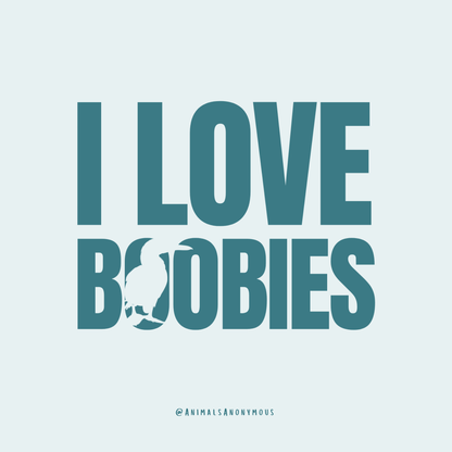 I Love Boobies