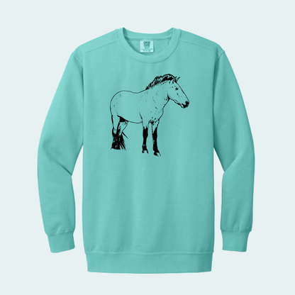 Przewalski's Horse (Limited Edition for July) Comfort Color Crewneck