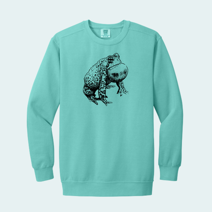 Houston Toad (Limited Edition for October) Unisex Comfort Color Crewneck