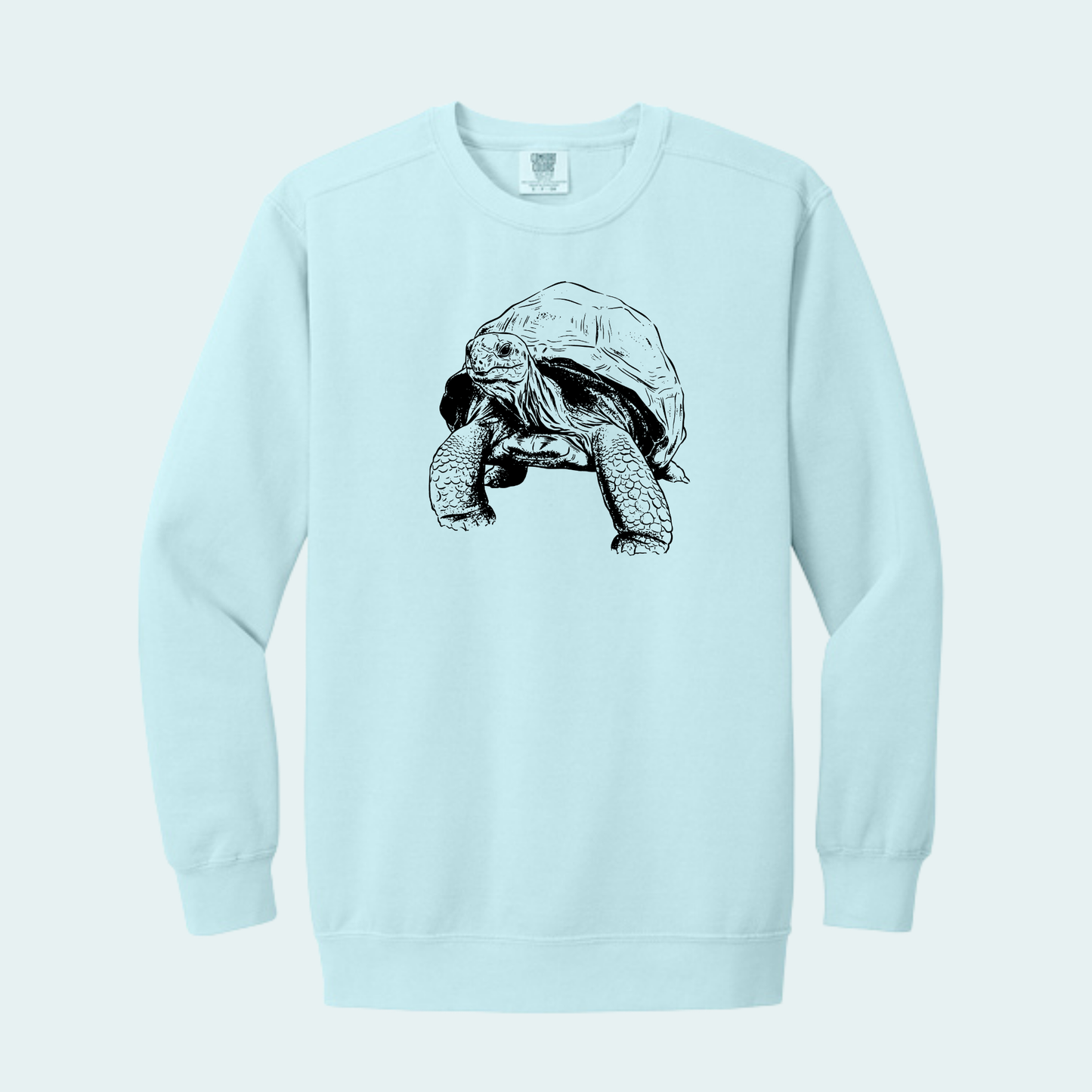 Aldabra Tortoise (Limited Edition for September) Unisex Comfort Color Crewneck