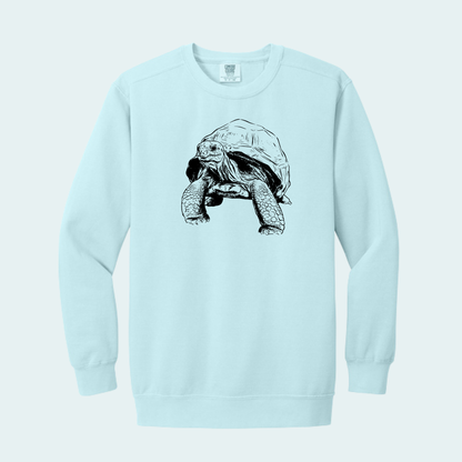 Aldabra Tortoise (Limited Edition for September) Unisex Comfort Color Crewneck