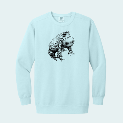 Houston Toad (Limited Edition for October) Unisex Comfort Color Crewneck