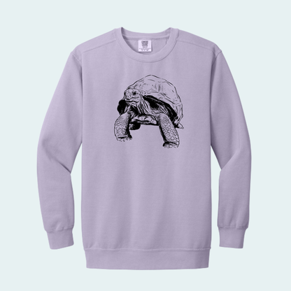Aldabra Tortoise (Limited Edition for September) Unisex Comfort Color Crewneck