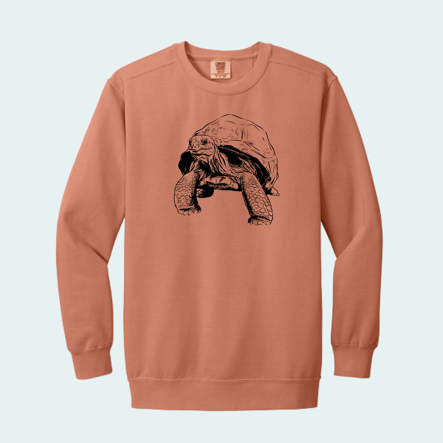 Aldabra Tortoise (Limited Edition for September) Unisex Comfort Color Crewneck