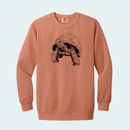 Aldabra Tortoise (Limited Edition for September) Unisex Comfort Color Crewneck