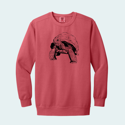 Aldabra Tortoise (Limited Edition for September) Unisex Comfort Color Crewneck