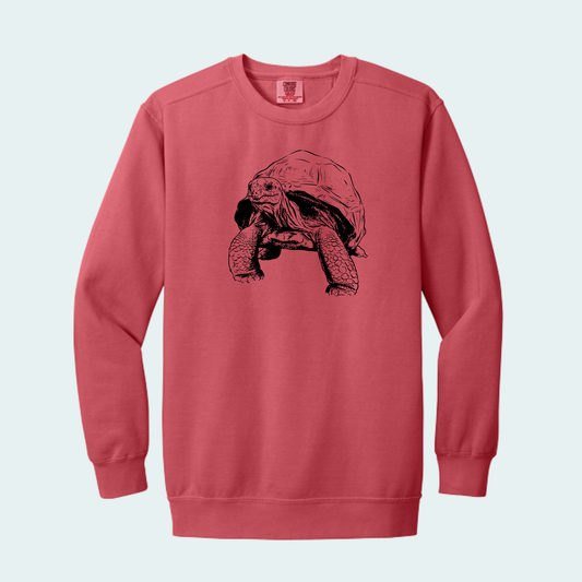 Aldabra Tortoise (Limited Edition for September) Unisex Comfort Color Crewneck