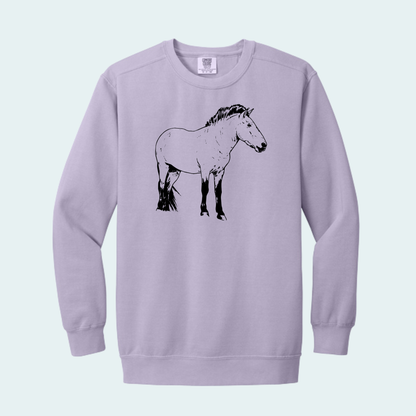 Przewalski's Horse (Limited Edition for July) Comfort Color Crewneck