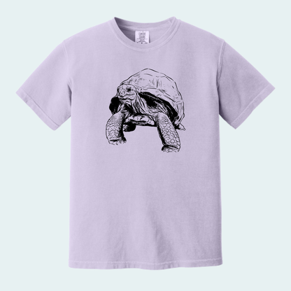 Aldabra Tortoise (Limited Edition for September) Unisex Comfort Color Tee