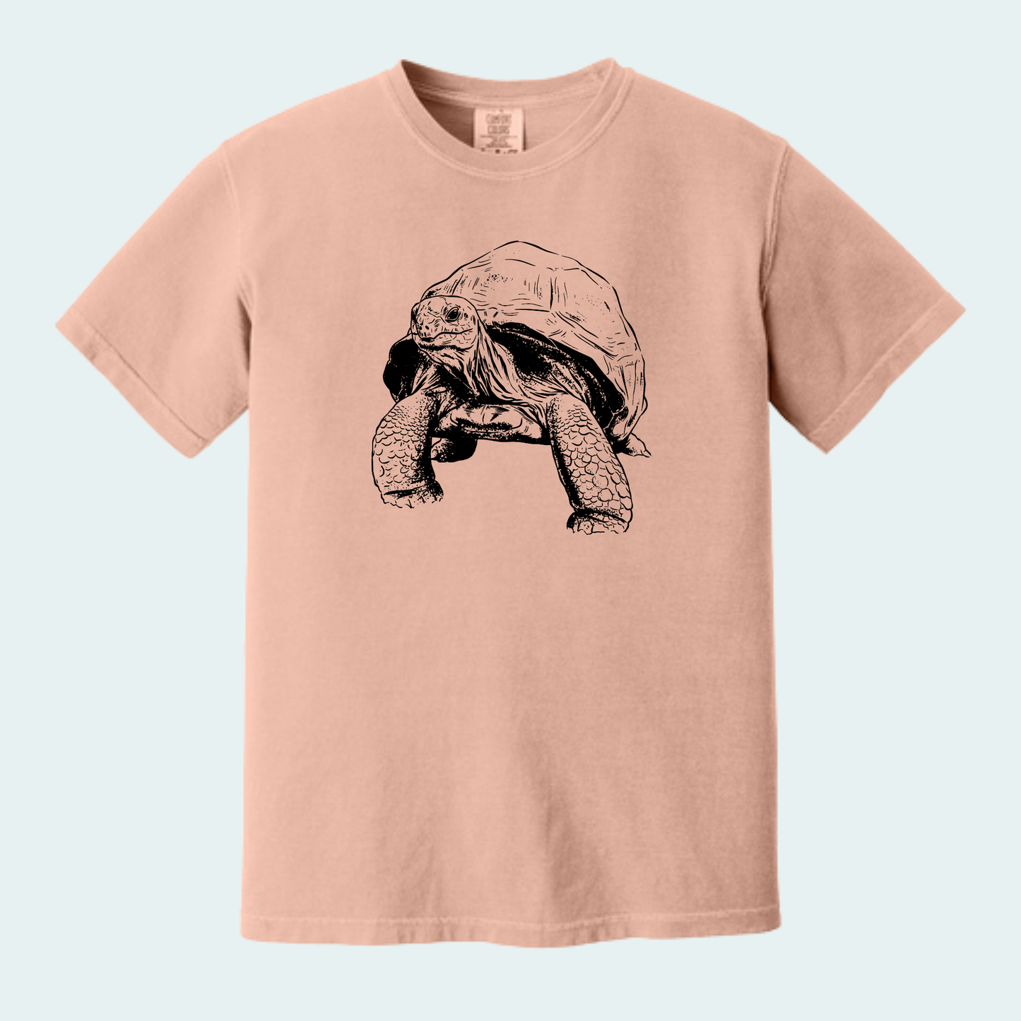 Aldabra Tortoise (Limited Edition for September) Unisex Comfort Color Tee