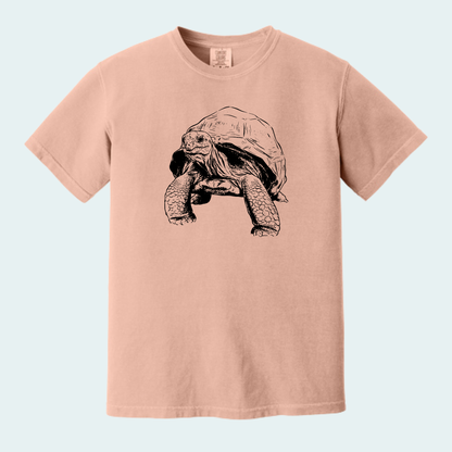 Aldabra Tortoise (Limited Edition for September) Unisex Comfort Color Tee