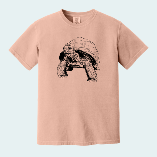 Aldabra Tortoise (Limited Edition for September) Unisex Comfort Color Tee