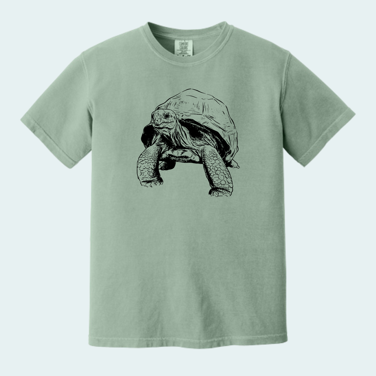 Aldabra Tortoise (Limited Edition for September) Unisex Comfort Color Tee