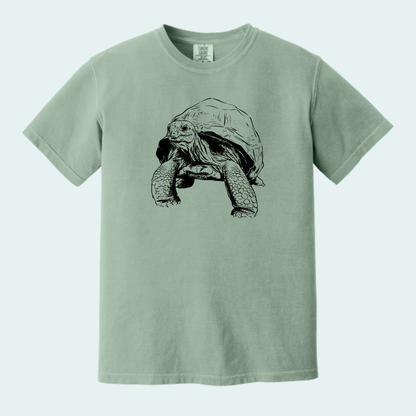 Aldabra Tortoise (Limited Edition for September) Unisex Comfort Color Tee