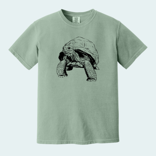 Aldabra Tortoise (Limited Edition for September) Unisex Comfort Color Tee