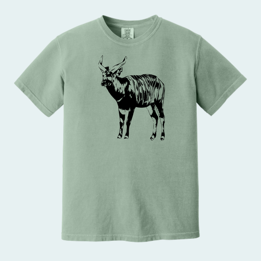 Bongo (Limited Edition for September) Unisex Comfort Color Tee