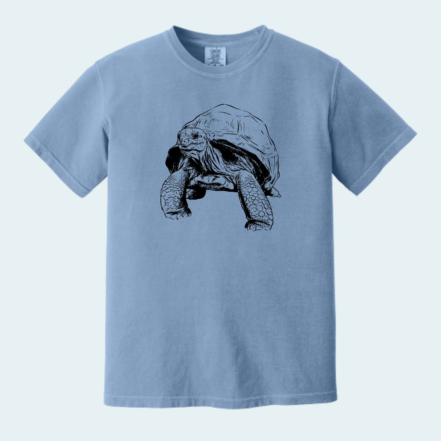 Aldabra Tortoise (Limited Edition for September) Unisex Comfort Color Tee