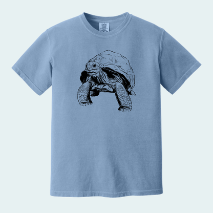 Aldabra Tortoise (Limited Edition for September) Unisex Comfort Color Tee