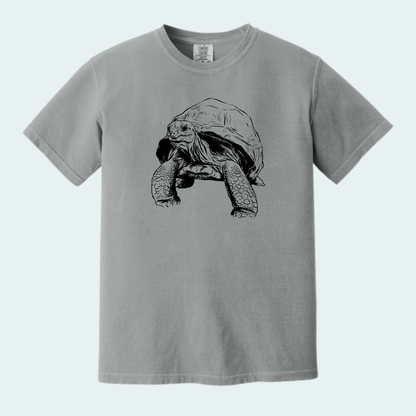 Aldabra Tortoise (Limited Edition for September) Unisex Comfort Color Tee
