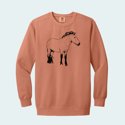 Przewalski's Horse (Limited Edition for July) Comfort Color Crewneck