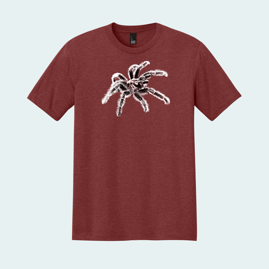 Tarantula (Limited Edition for December) Unisex Tee
