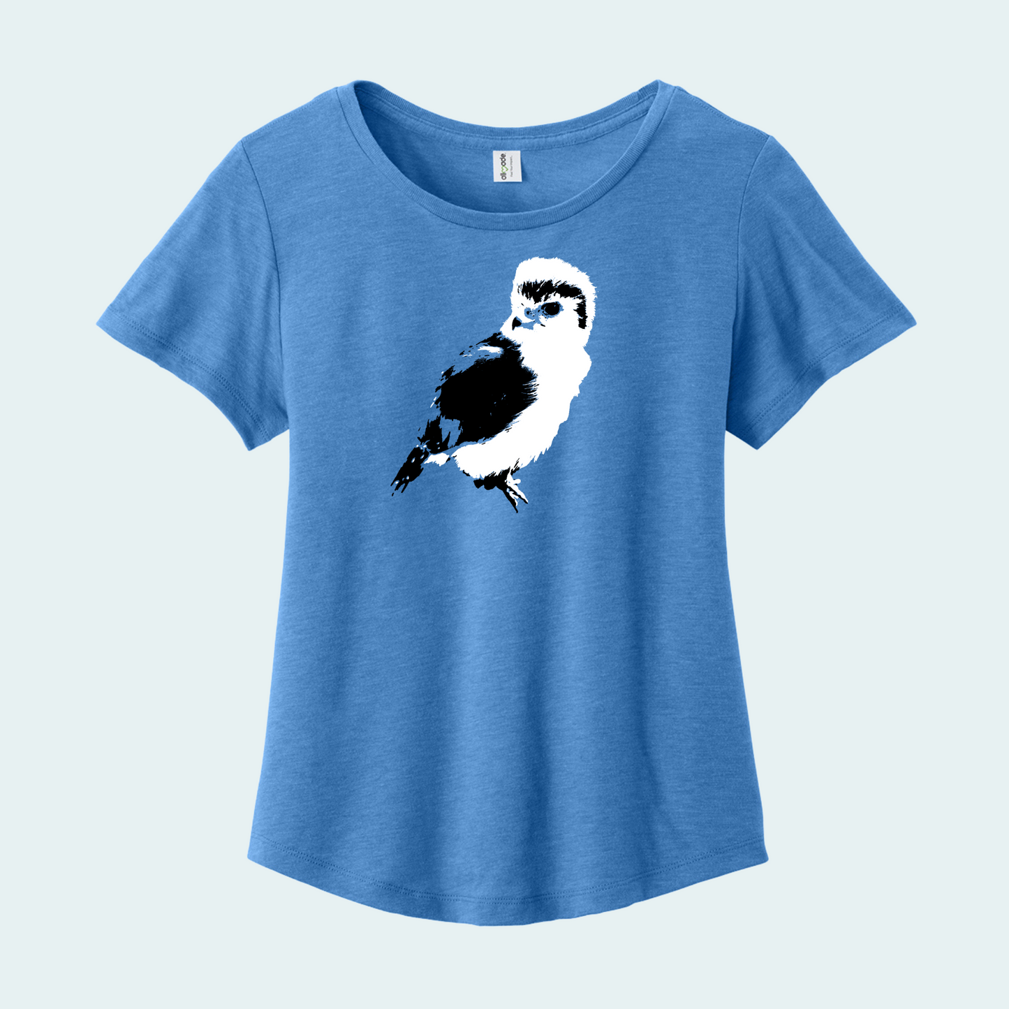 Pygmy falcon (Limited Edition) Women’s Relaxed Scoop Neck Tee