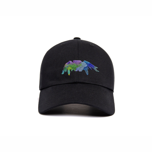 Jumping Spider Rainbow Embroidery - Hat