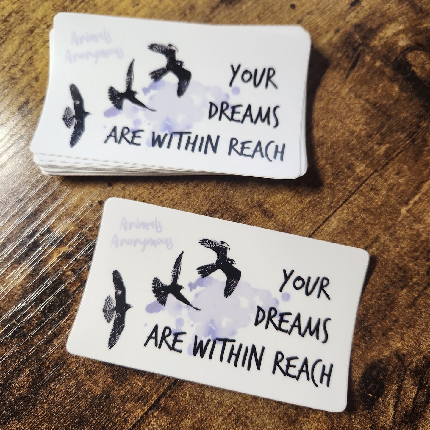 Falcons Your Dream Are within Reach - Sticker