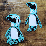 African Black Footed Penguin Sticker