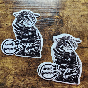 Black Footed Cat Sticker
