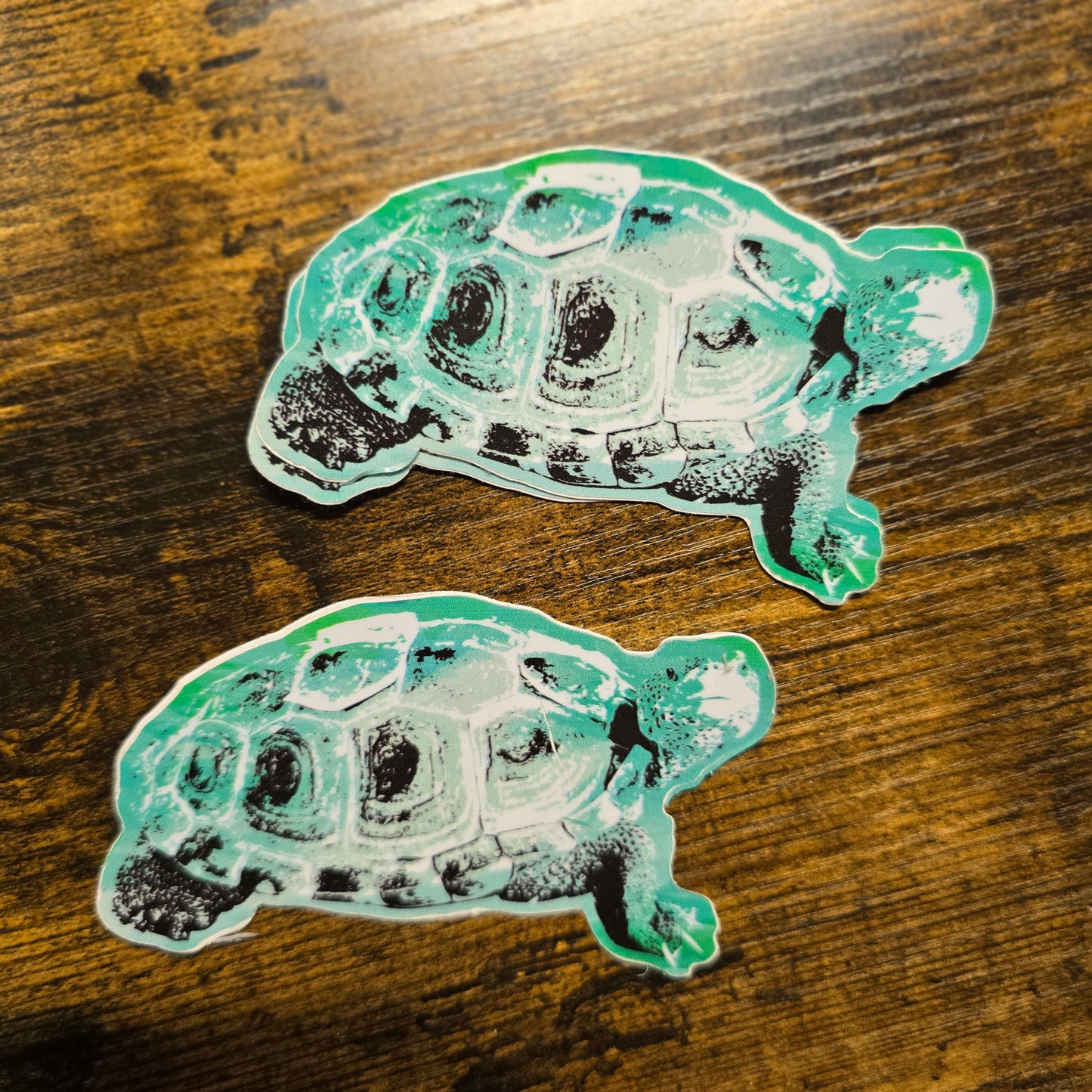 Diamondback Terrapin - Sticker