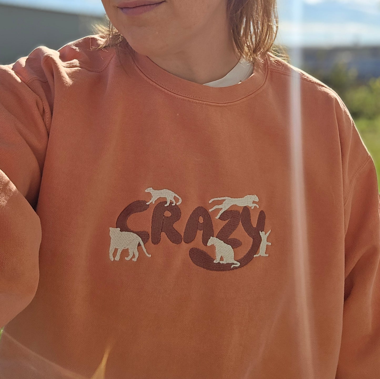 Cat Crazy Embroidery (Limited Edition for December) Comfort Color Sweatshirt