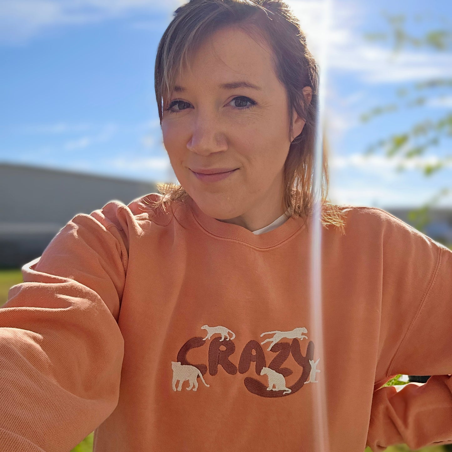 Cat Crazy Embroidery (Limited Edition for December) Comfort Color Sweatshirt