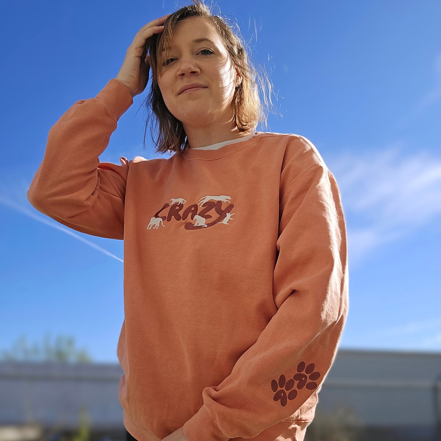 Cat Crazy Embroidery (Limited Edition for December) Comfort Color Sweatshirt