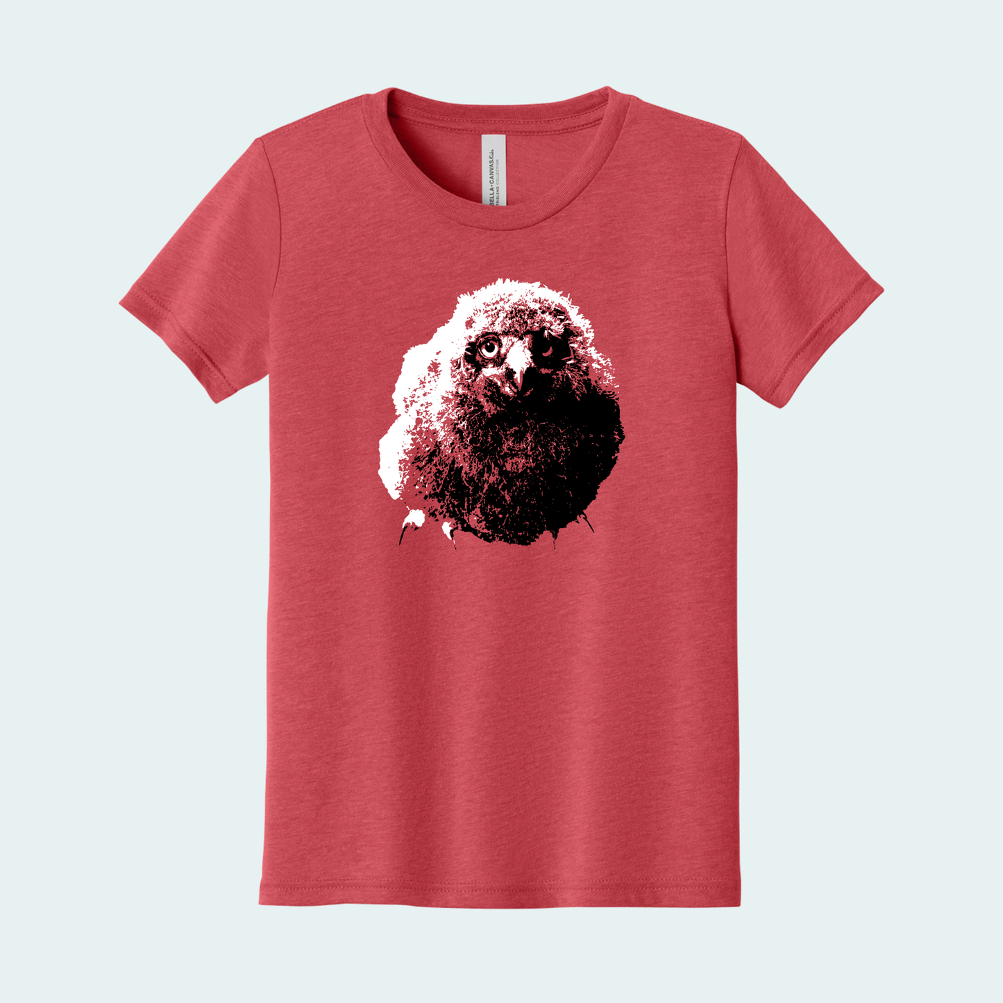 Snowy Owl Chick (Limited Edition for January) Youth Tee