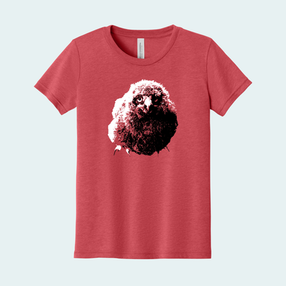 Snowy Owl Chick (Limited Edition for January) Youth Tee