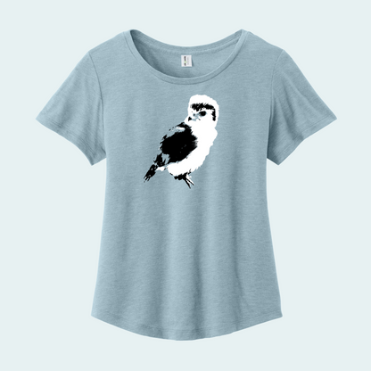 Pygmy falcon (Limited Edition) Women’s Relaxed Scoop Neck Tee