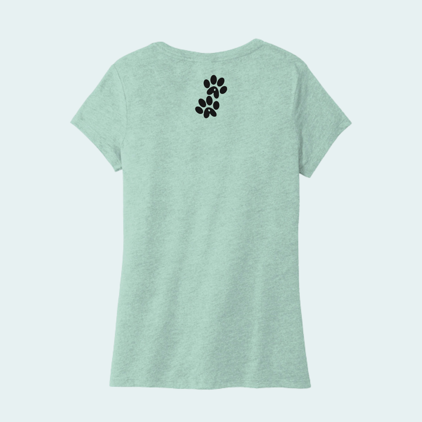 Animal Archives (Anonymous Design from the Vault) Women's V-Neck Tee