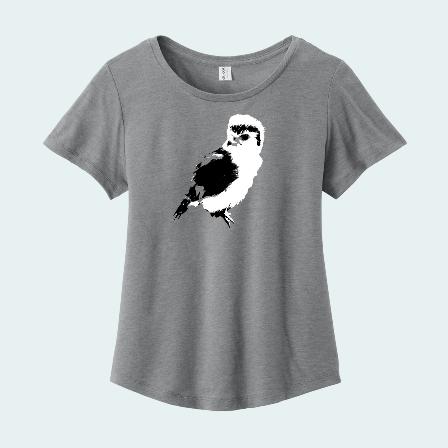 Pygmy falcon (Limited Edition) Women’s Relaxed Scoop Neck Tee
