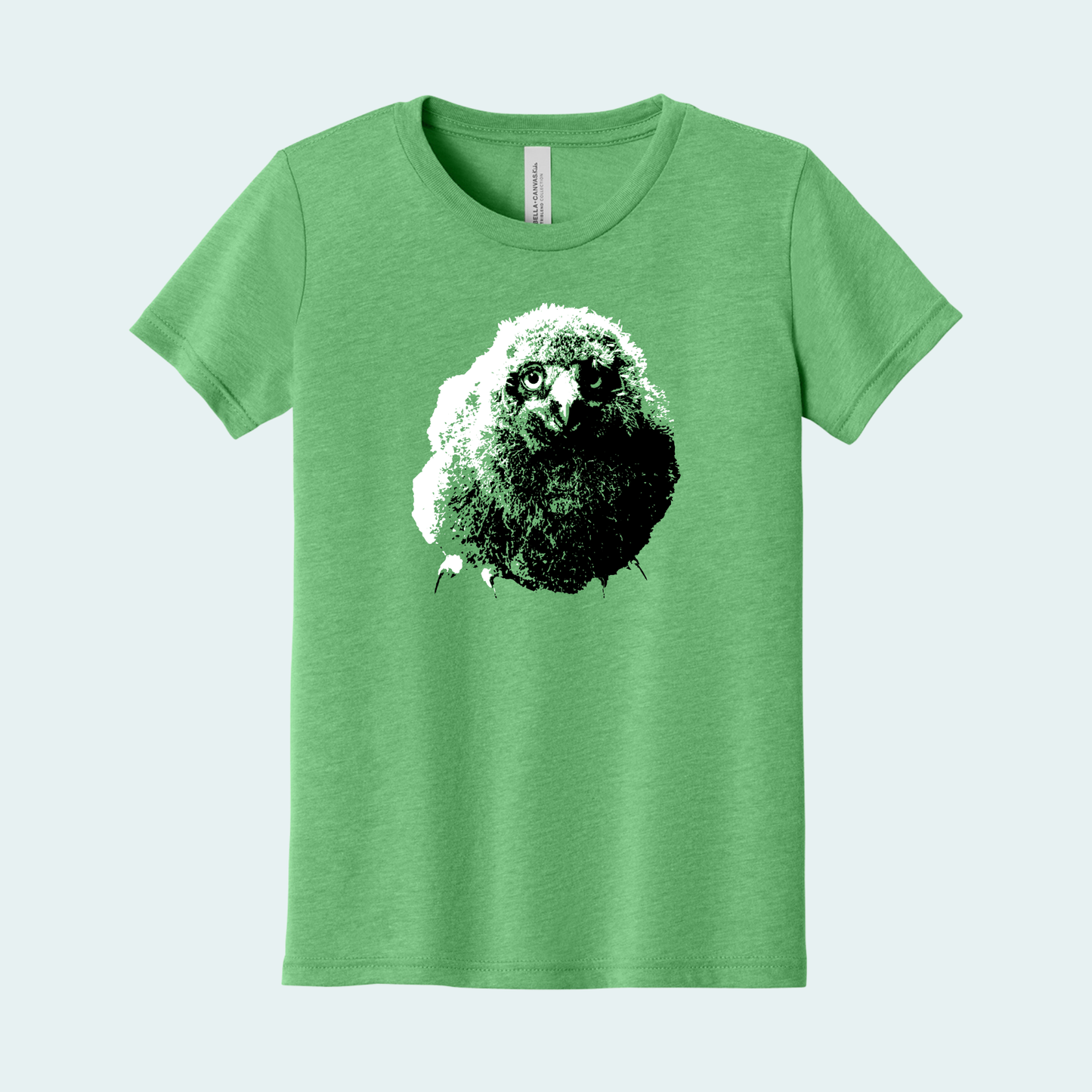 Snowy Owl Chick (Limited Edition for January) Youth Tee