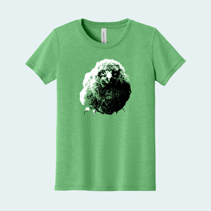 Snowy Owl Chick (Limited Edition for January) Youth Tee
