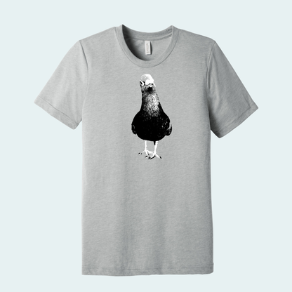 Pigeon (Limited Edition for February) Unisex Tee
