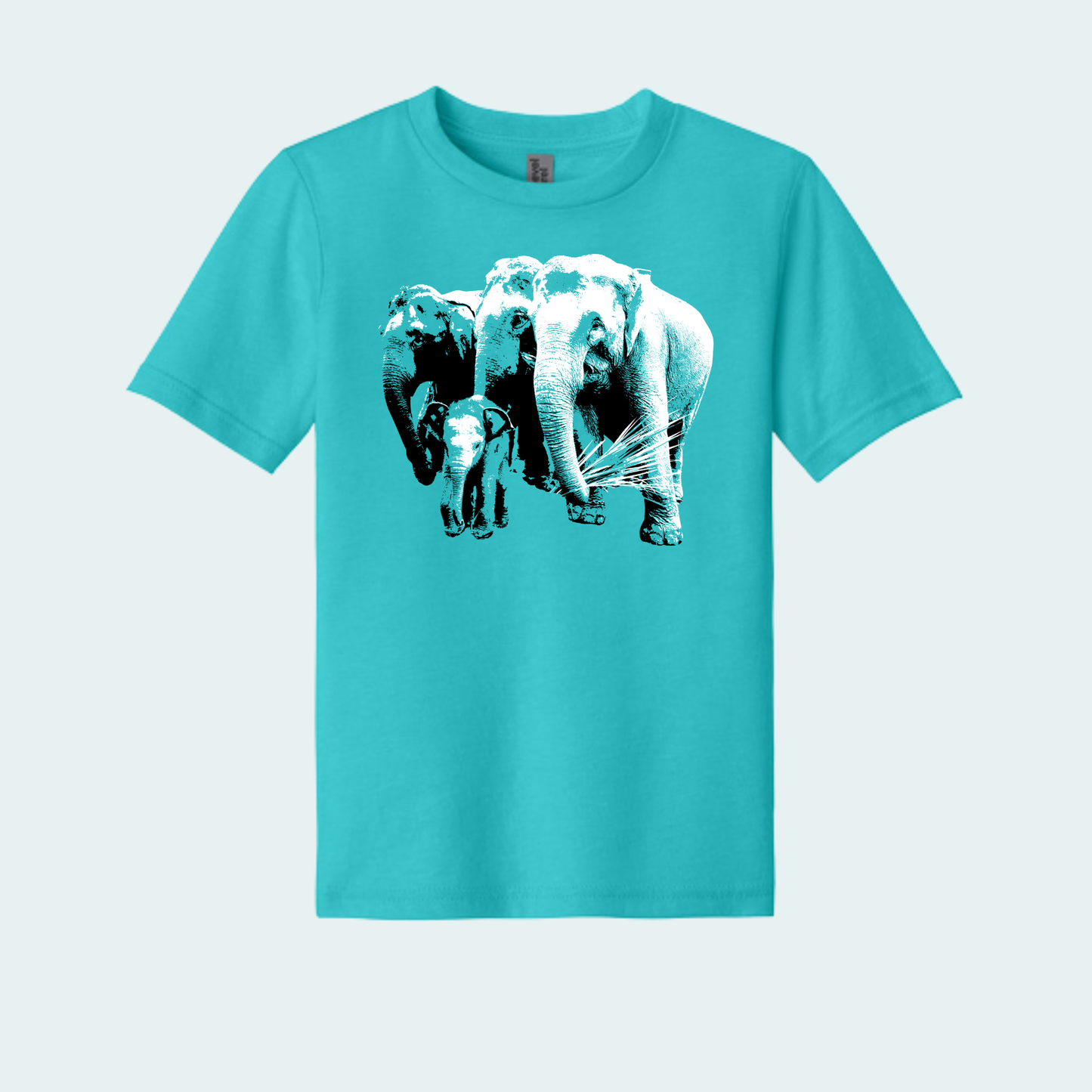 Asian Elephants Fundraiser (Limited Edition for June) Youth Tee