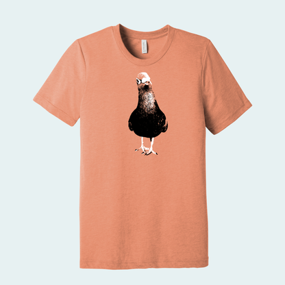Pigeon (Limited Edition for February) Unisex Tee