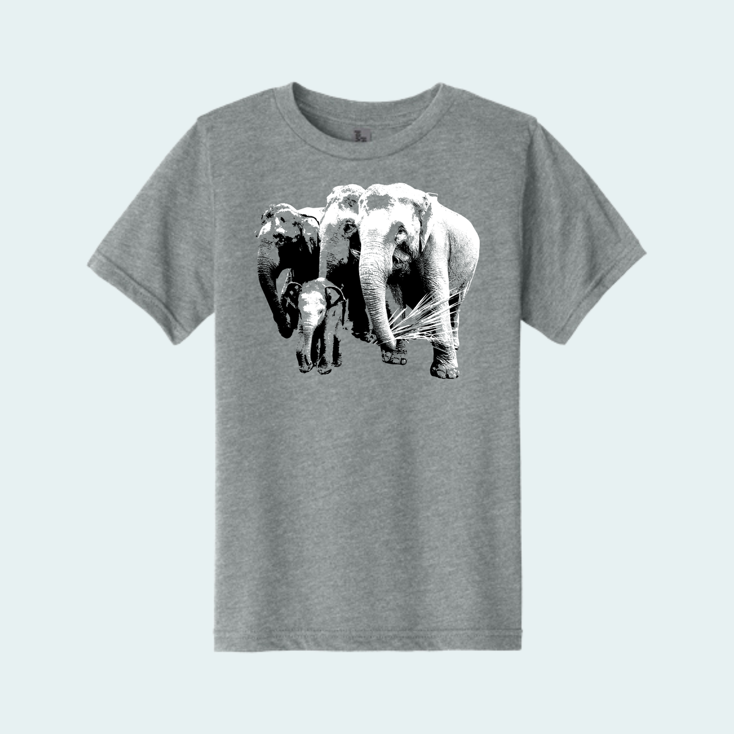 Asian Elephants Fundraiser (Limited Edition for June) Youth Tee